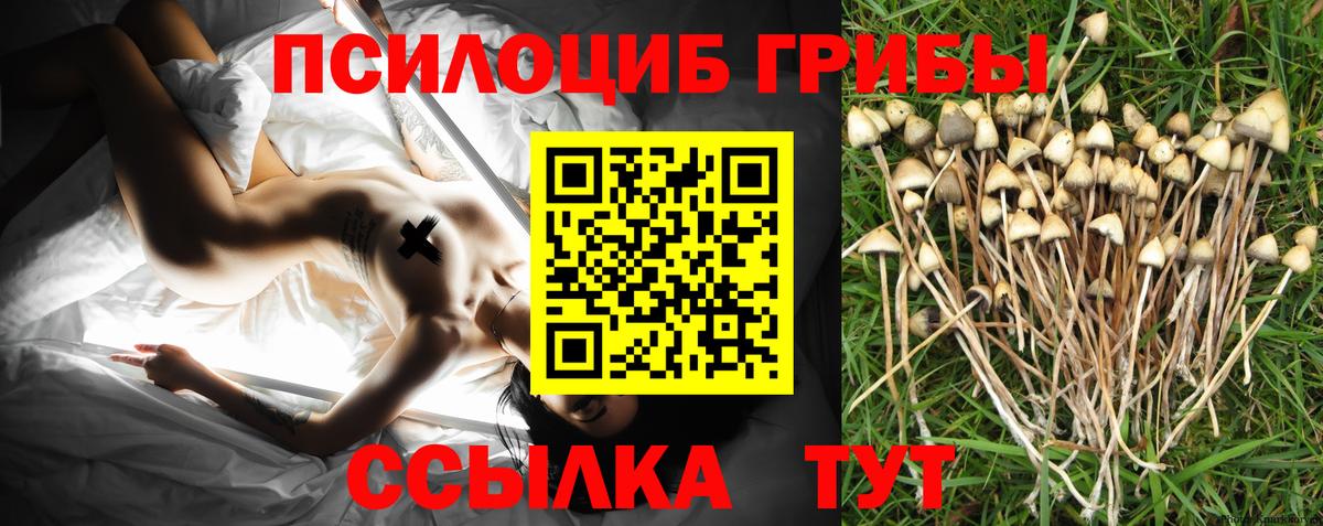 Псилоцибиновые грибы Psilocybe  Псилоцибиновые грибы мицелий  продажа наркотиков  Вход с VPN  Ревда 